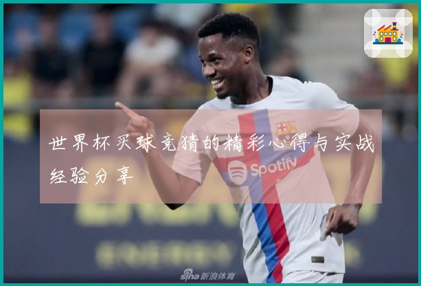 世界杯买球竞猜的精彩心得与实战经验分享