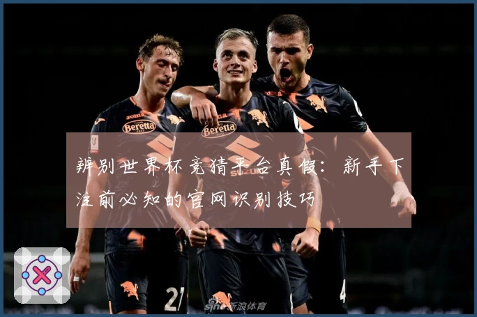 辨别世界杯竞猜平台真假：新手下注前必知的官网识别技巧