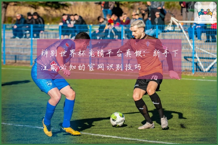辨别世界杯竞猜平台真假：新手下注前必知的官网识别技巧