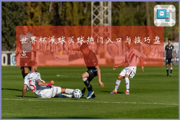 世界杯滚球买球热门入口与技巧盘点