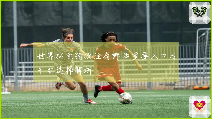 世界杯竞猜投注有哪些重要入口与平台选择解析