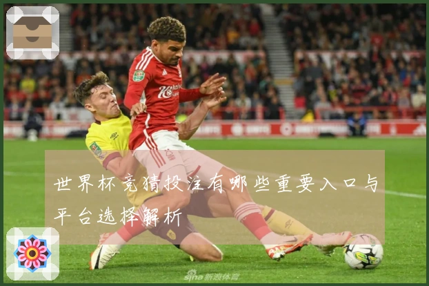 世界杯竞猜投注有哪些重要入口与平台选择解析