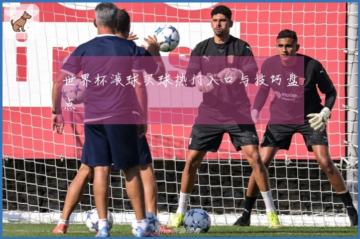 世界杯滚球买球热门入口与技巧盘点