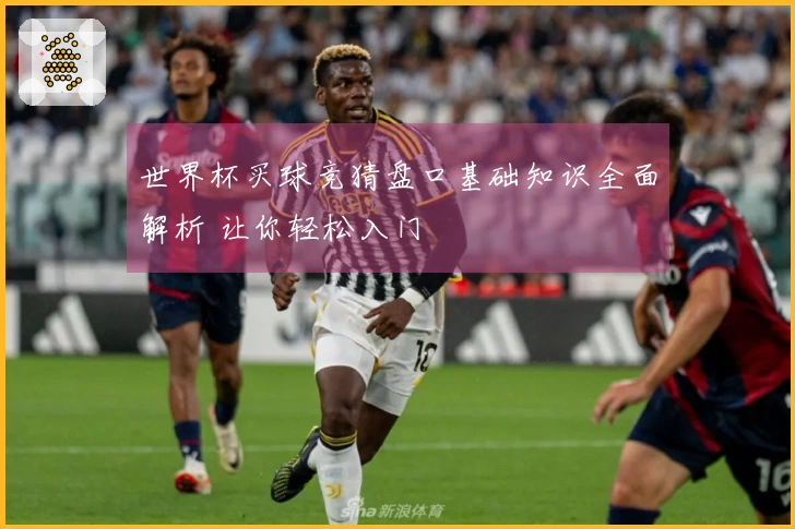 世界杯买球竞猜盘口基础知识全面解析 让你轻松入门
