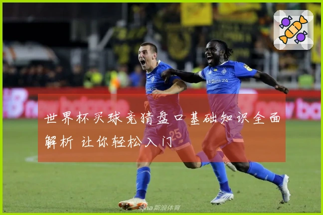 世界杯买球竞猜盘口基础知识全面解析 让你轻松入门