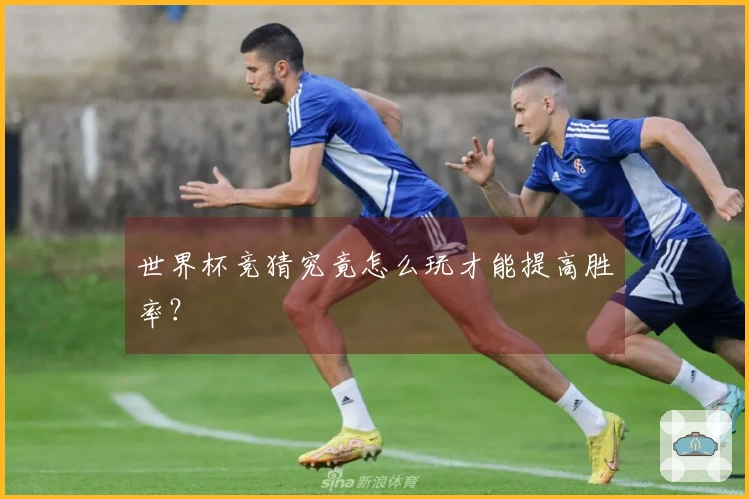 世界杯竞猜究竟怎么玩才能提高胜率？